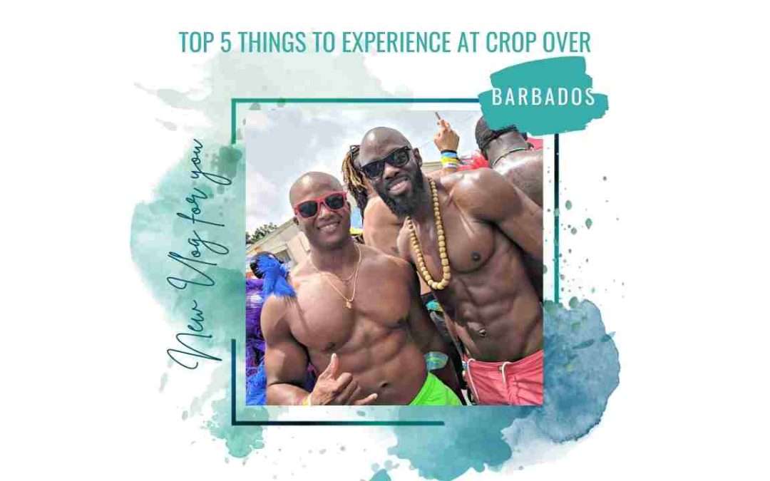 Top 5 reasons to experience Barbados Carnival aka Crop Over (part 2)