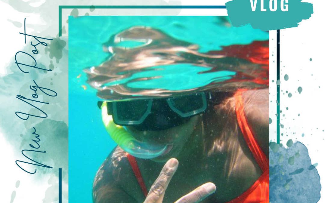 Top 3 things to experience in Grenada | Grenada snorkeling