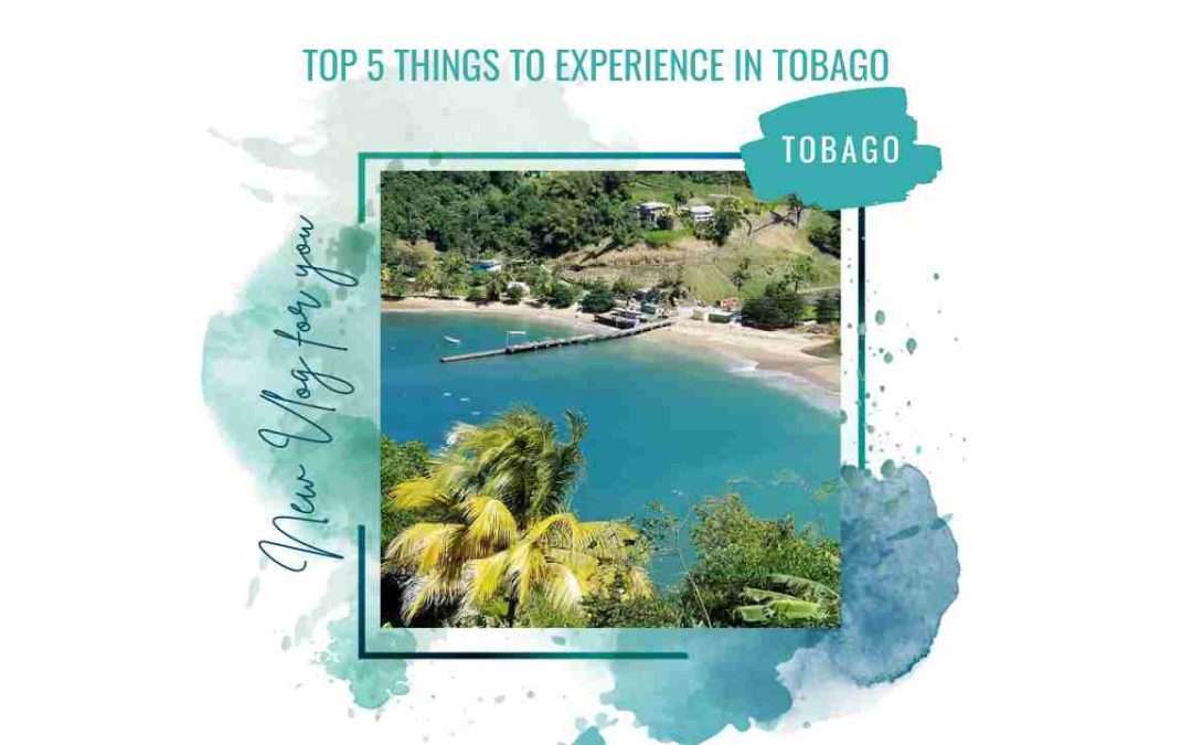 Top 5 things to Experience in Tobago | Tobago Travel